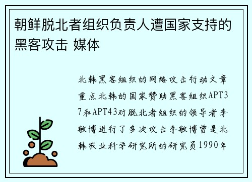 朝鲜脱北者组织负责人遭国家支持的黑客攻击 媒体