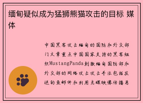 缅甸疑似成为猛狮熊猫攻击的目标 媒体